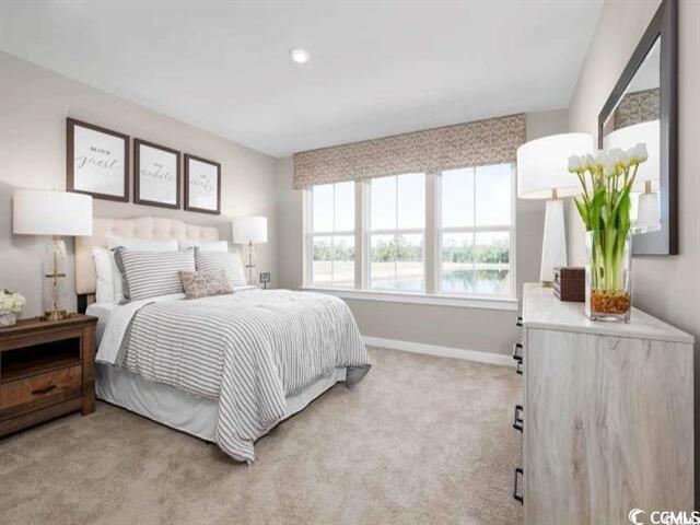 205 Bent Green, Unit 59D Murrells Inlet, SC 29576 - Photo 12 of 14 Gallery Image 12
