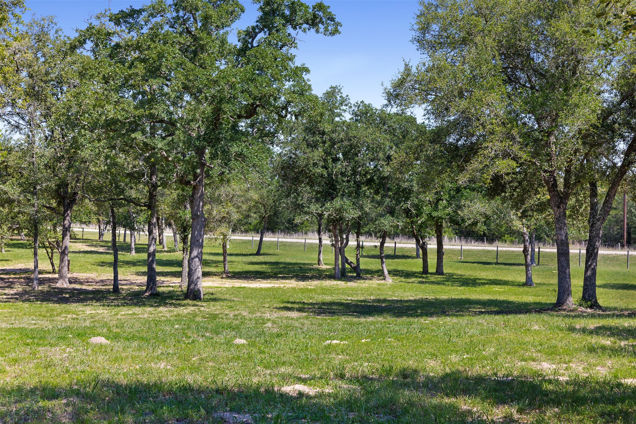 2215 Oak Ridge Road Weimar, TX 78962 - Photo 33 of 36