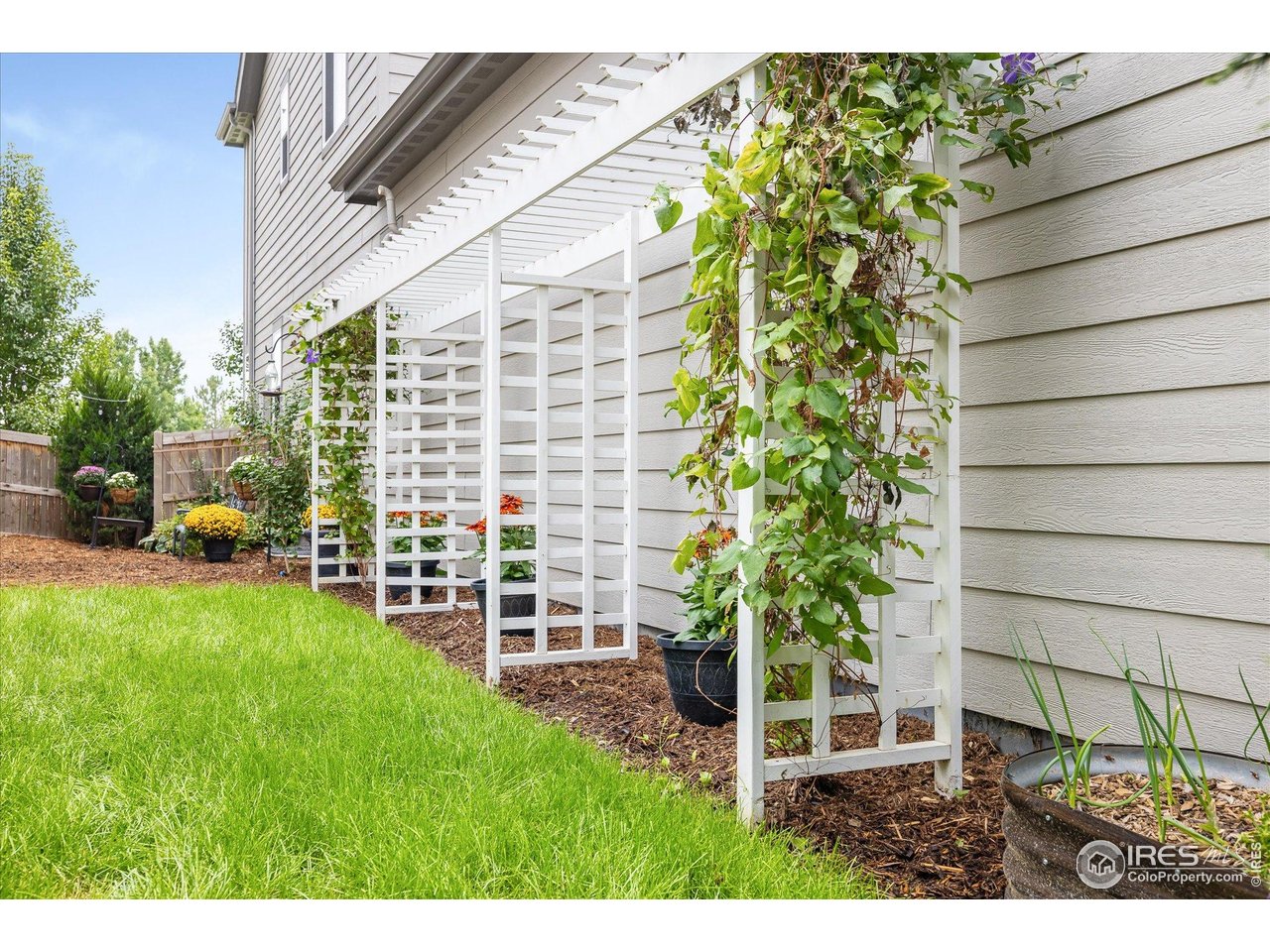 10121 Flower Street Westminster, CO 80021 - Photo 38 of 40 custom trellis with climbing vines and planter beds adds charm and seasonal color