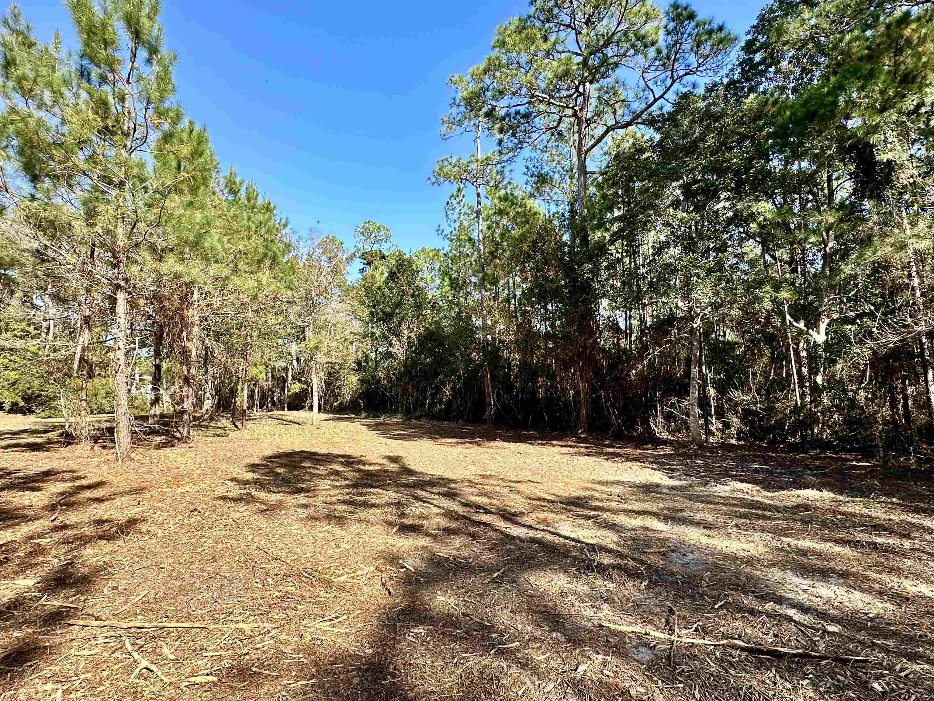 40707 Canal Circle Fairhope, AL 36532 - Photo 7 of 10 View