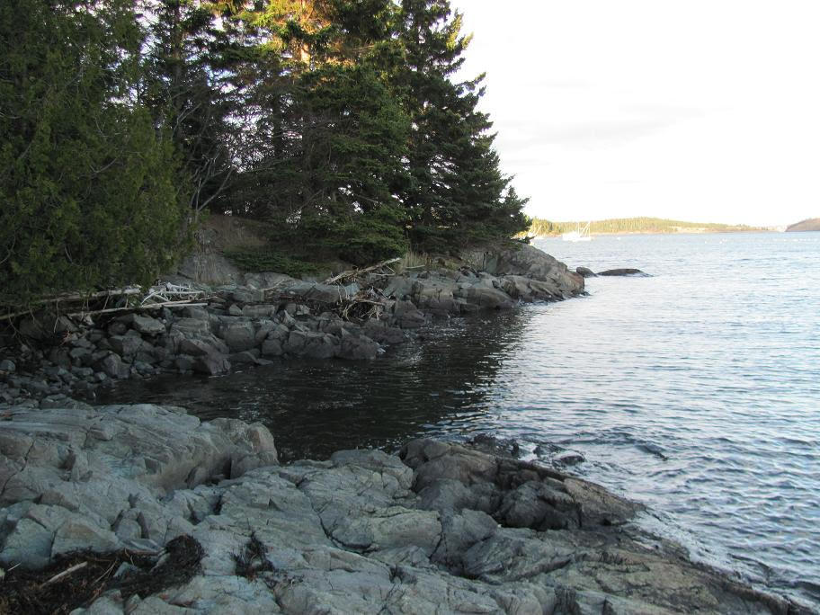 333 North Lubec Road Lubec, ME 04652 - Photo 1 of 10 Lebo 5
