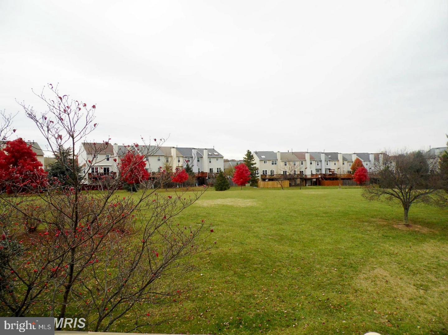 43607 Blacksmith Square Ashburn, VA 20147 - Photo 3 of 3 back common area behind townhouse