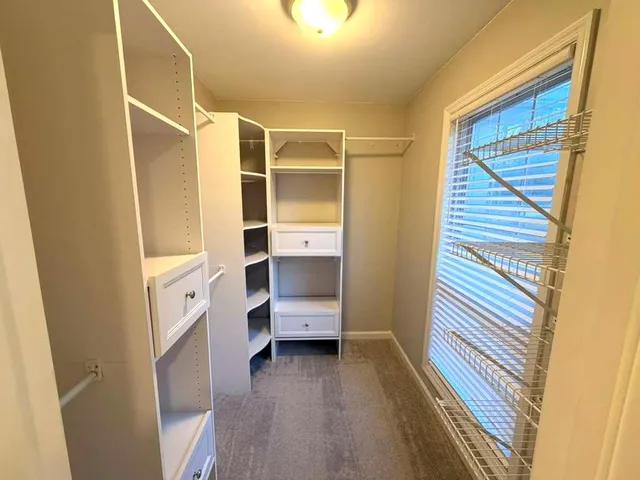a bathroom with a sink and a shower