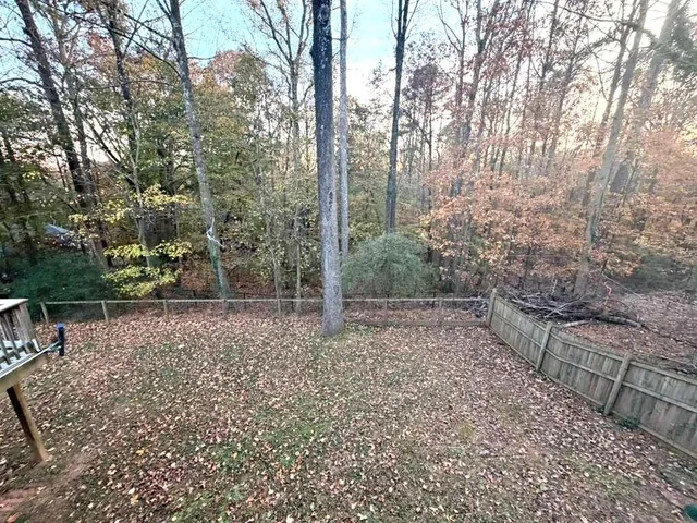 a view of a yard with plants and trees