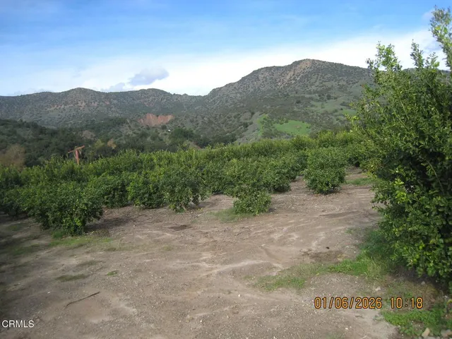 a view of a mountain range with a forest