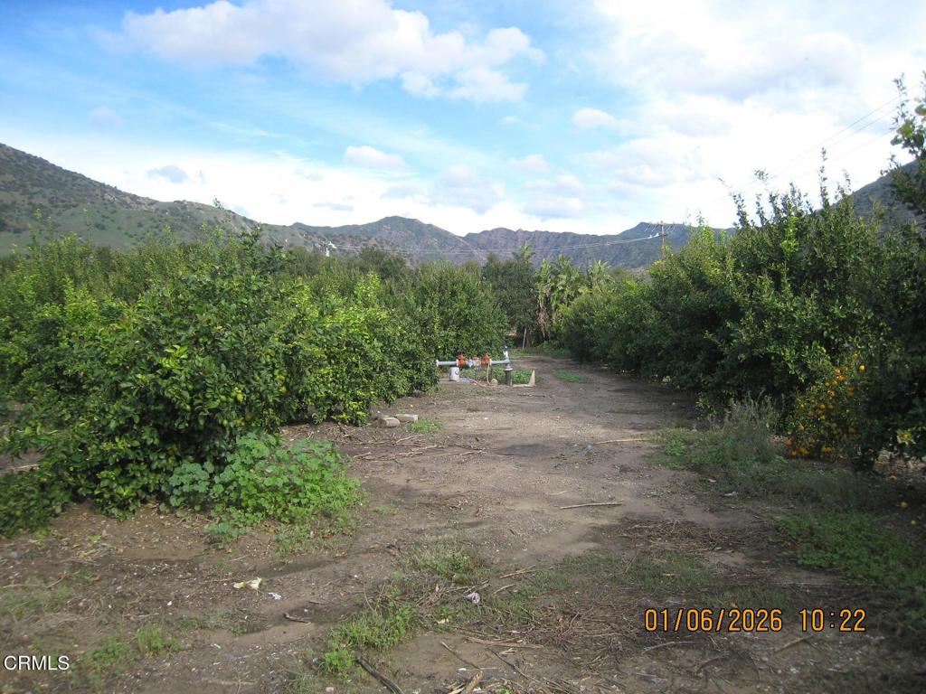 0 Grand Avenue Fillmore, CA 93015 - Photo 5 of 8 a view of a valley