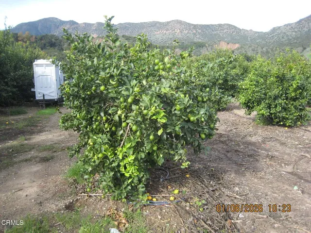 a view of a yard with a house