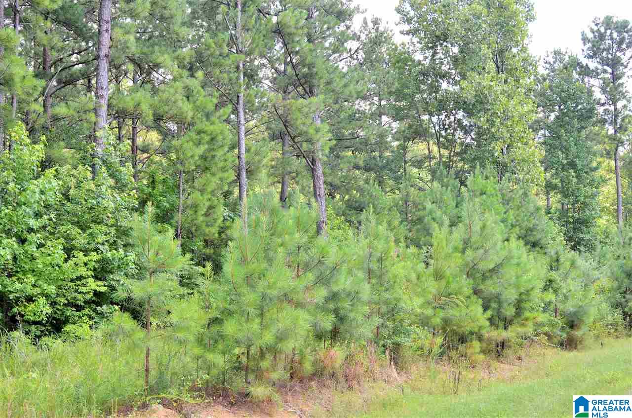 1660 New Liberty Road, Unit X Wellington, AL 36279 - Photo 4 of 5