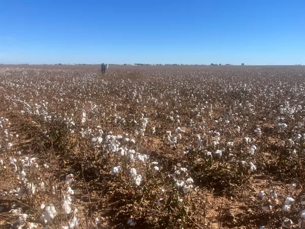 a view of city and mountain