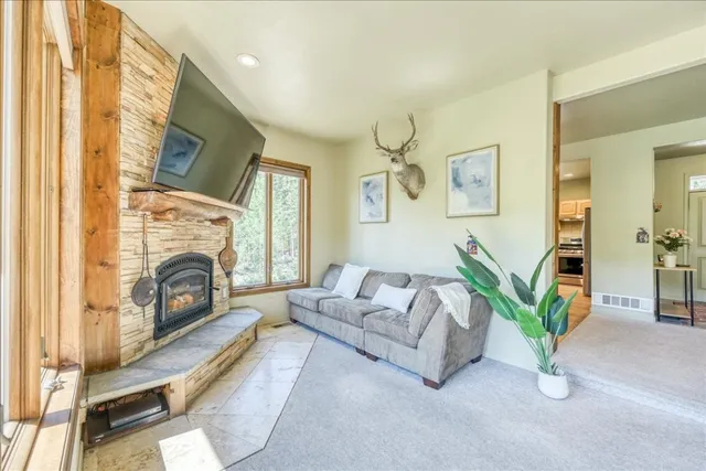 $849,000 | 234 Peterson Drive, Alma, CO 80420