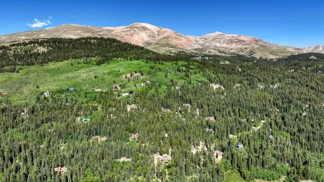 $849,000 | 234 Peterson Drive, Alma, CO 80420