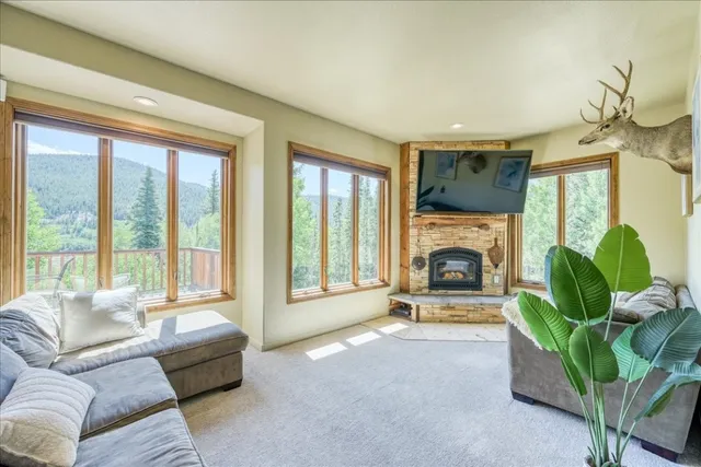 $849,000 | 234 Peterson Drive, Alma, CO 80420