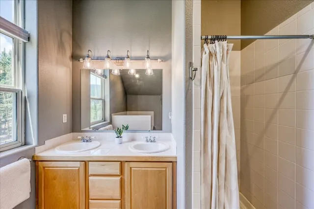 $849,000 | 234 Peterson Drive, Alma, CO 80420