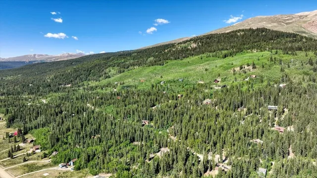 $849,000 | 234 Peterson Drive, Alma, CO 80420