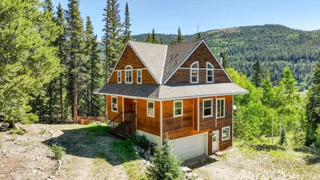 $849,000 | 234 Peterson Drive, Alma, CO 80420