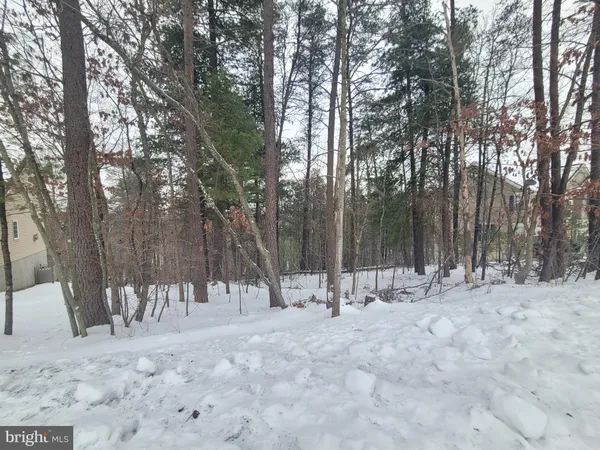 a view of outdoor space with trees