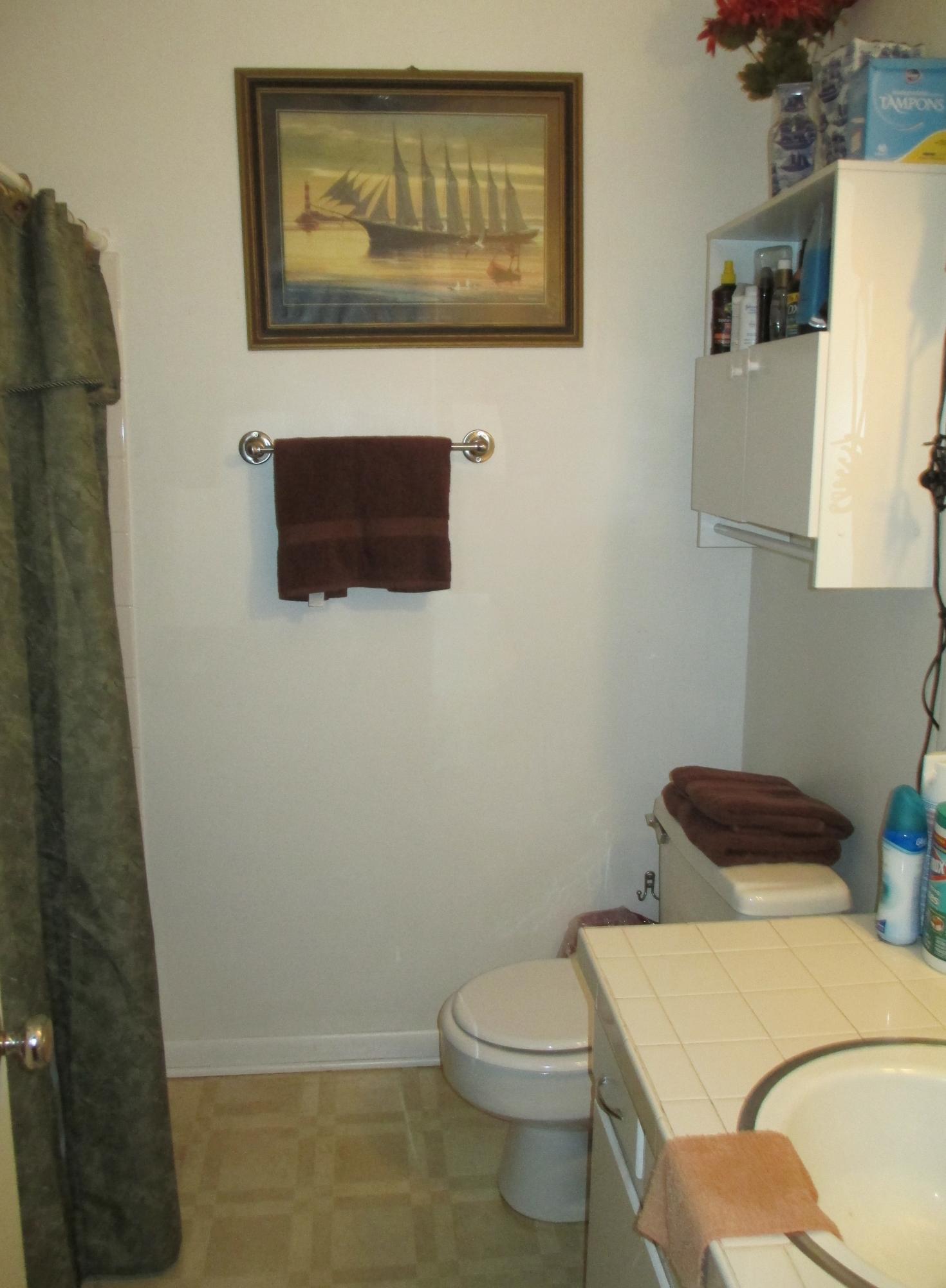123 Nebraska Avenue Oak Ridge, TN 37830 - Photo 14 of 21 Hall Bath
