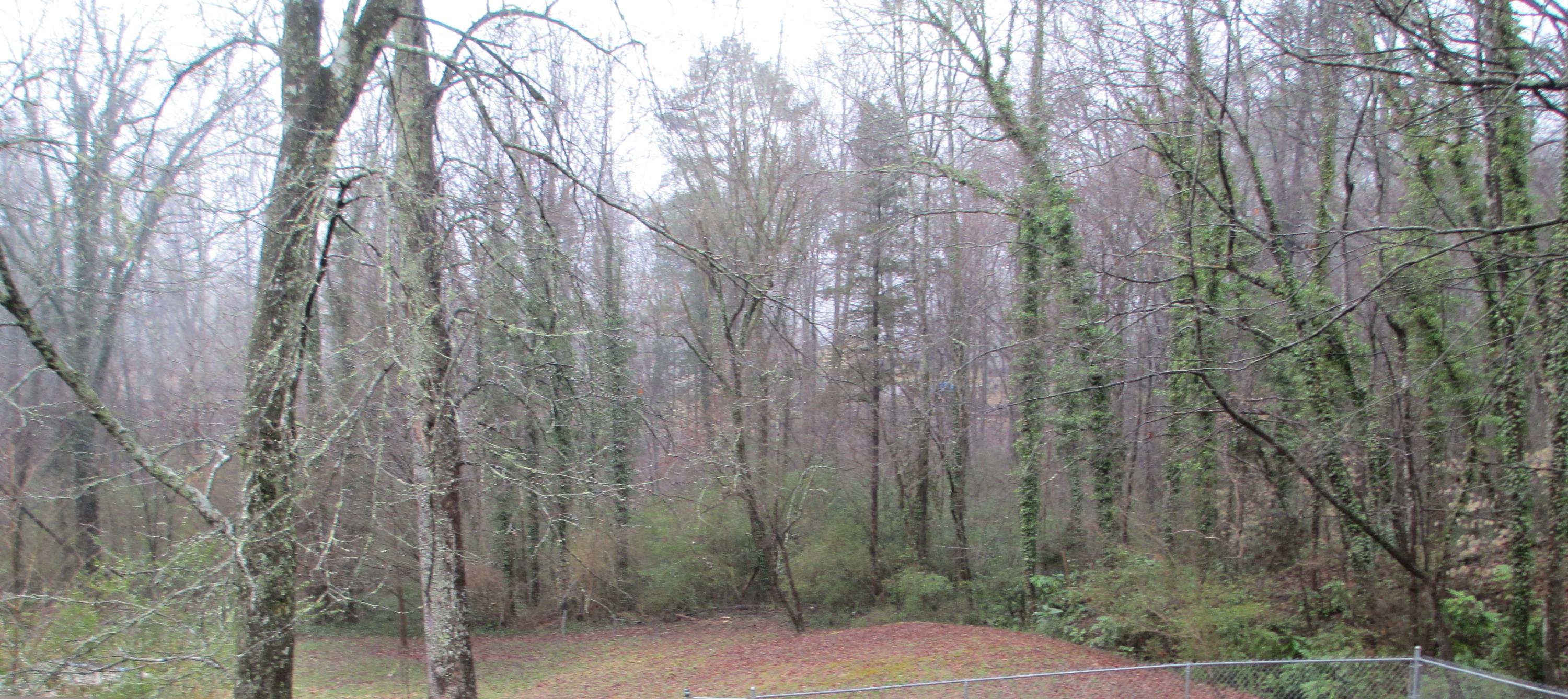 123 Nebraska Avenue Oak Ridge, TN 37830 - Photo 18 of 21 Watch Deer and Turkey!
