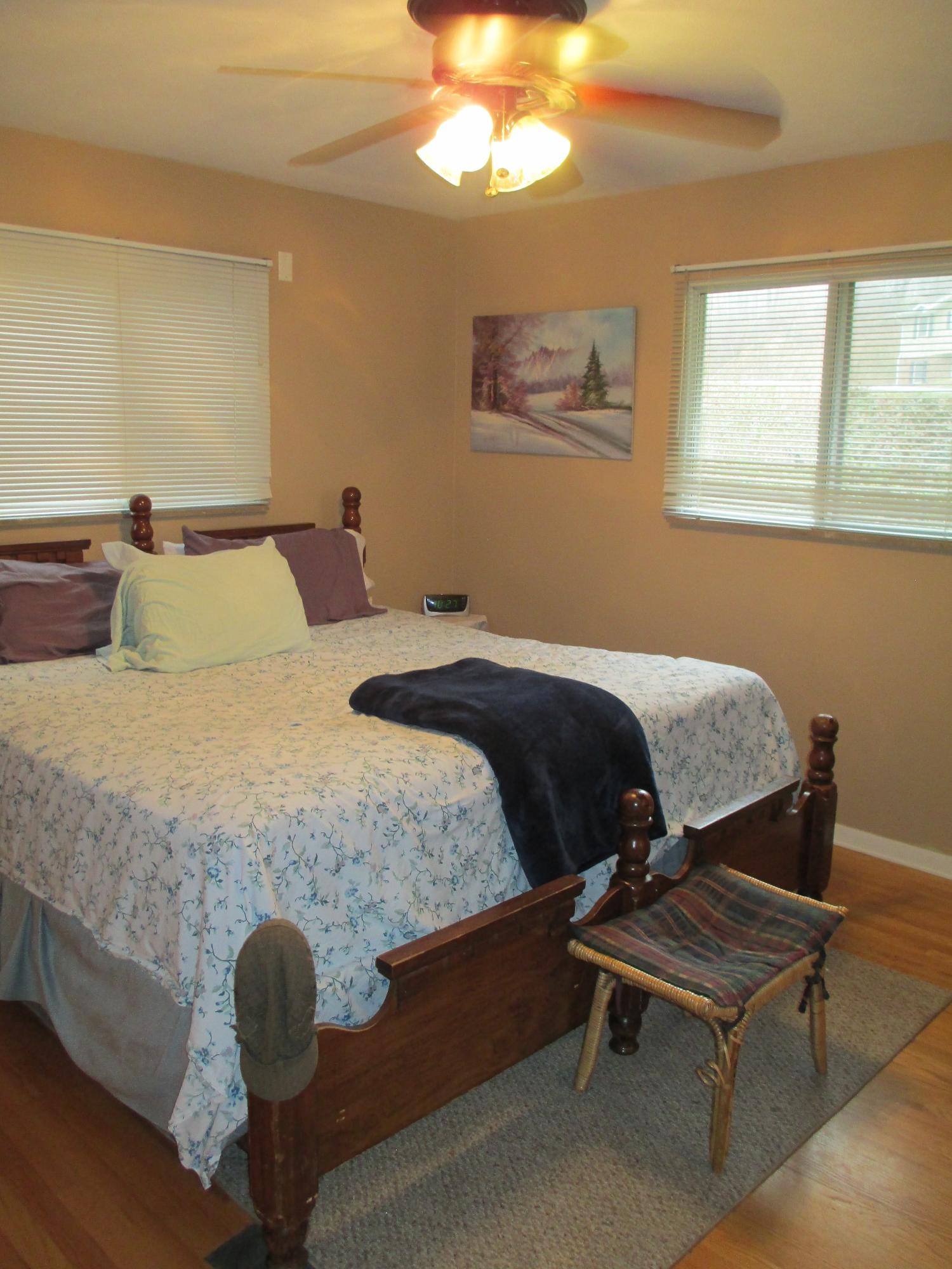123 Nebraska Avenue Oak Ridge, TN 37830 - Photo 10 of 21 Master Bedroom - Tons of Naturel Lightin