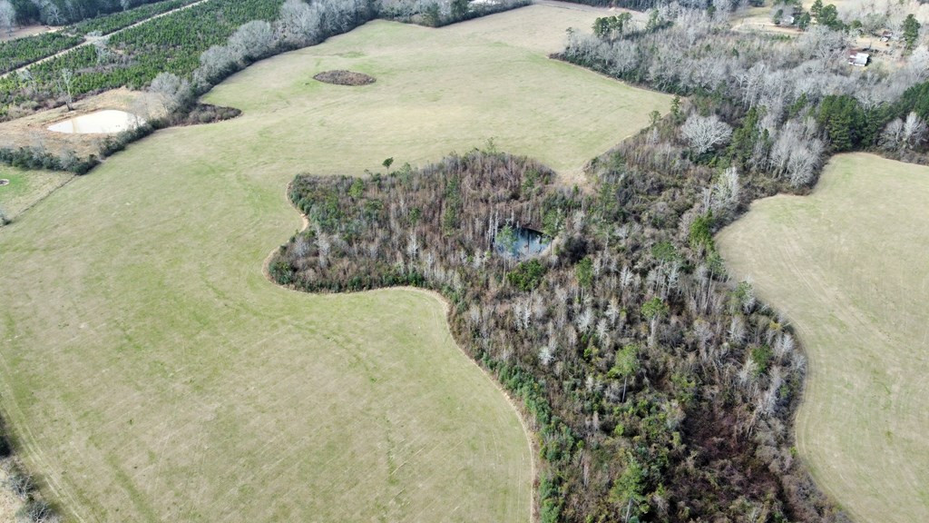 0 Osyka Progress Road Magnolia, MS 39652 - Photo 2 of 9 Photo 2