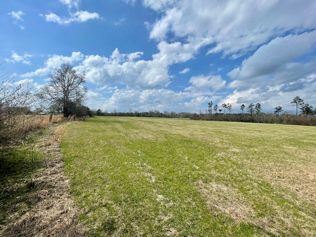 0 Osyka Progress Road Magnolia, MS 39652 - Photo 3 of 9 Photo 3