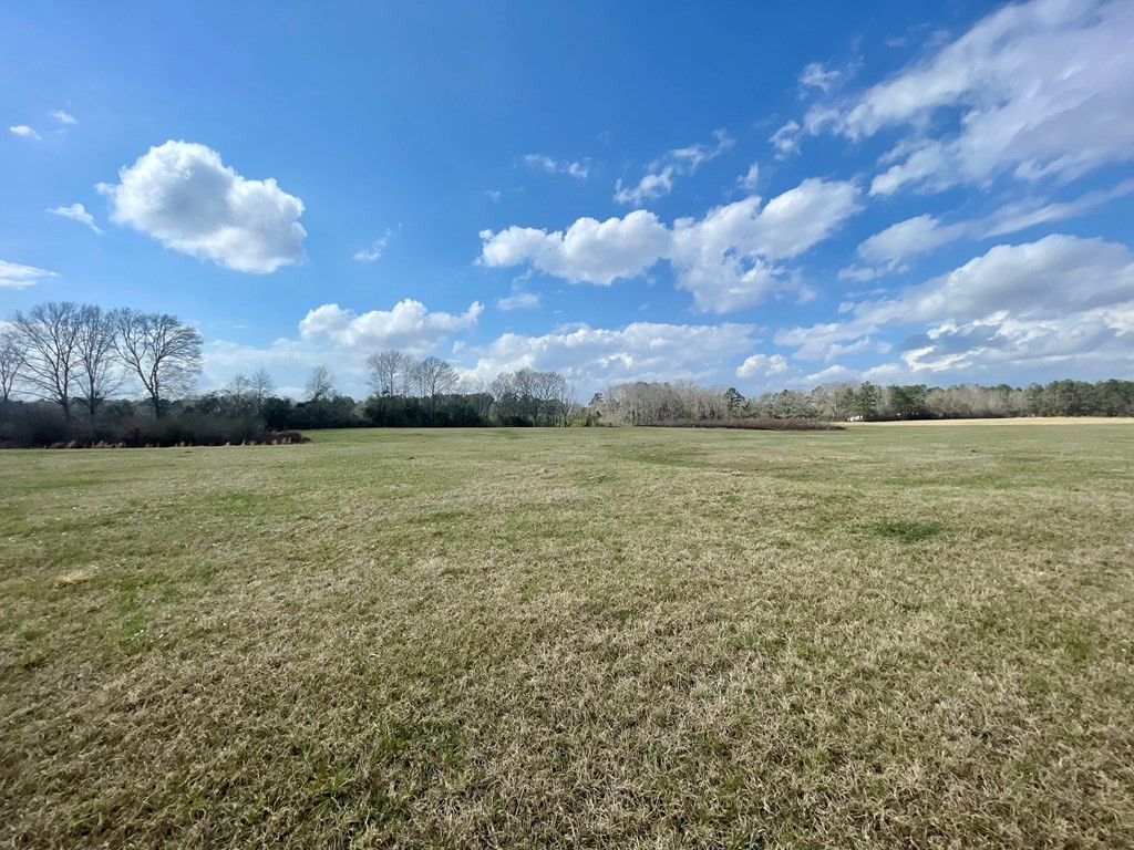 0 Osyka Progress Road Magnolia, MS 39652 - Photo 5 of 9 Photo 5