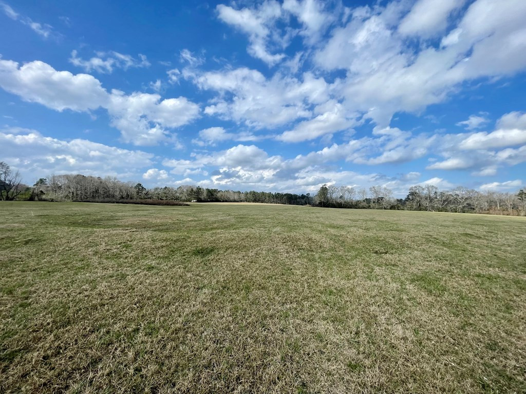 0 Osyka Progress Road Magnolia, MS 39652 - Photo 6 of 9 Photo 6