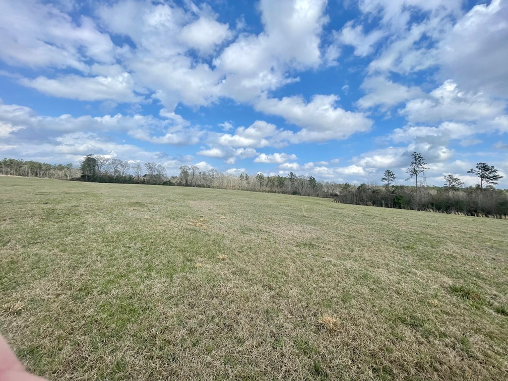0 Osyka Progress Road Magnolia, MS 39652 - Photo 7 of 9 Photo 7