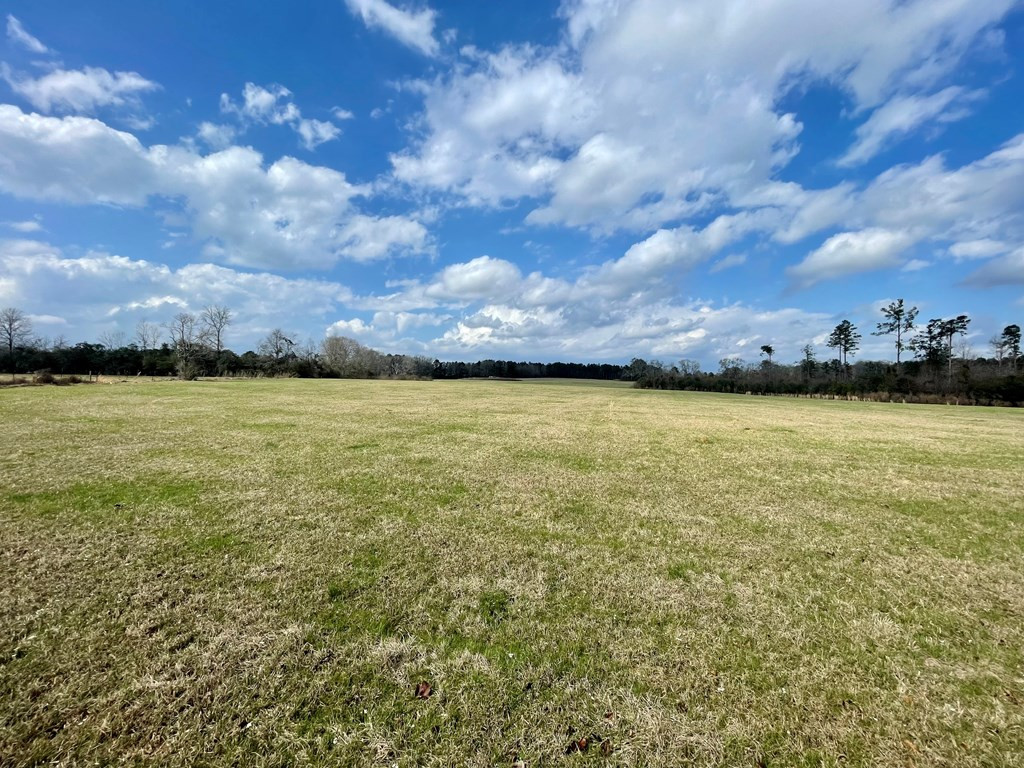 0 Osyka Progress Road Magnolia, MS 39652 - Photo 8 of 9 Photo 8