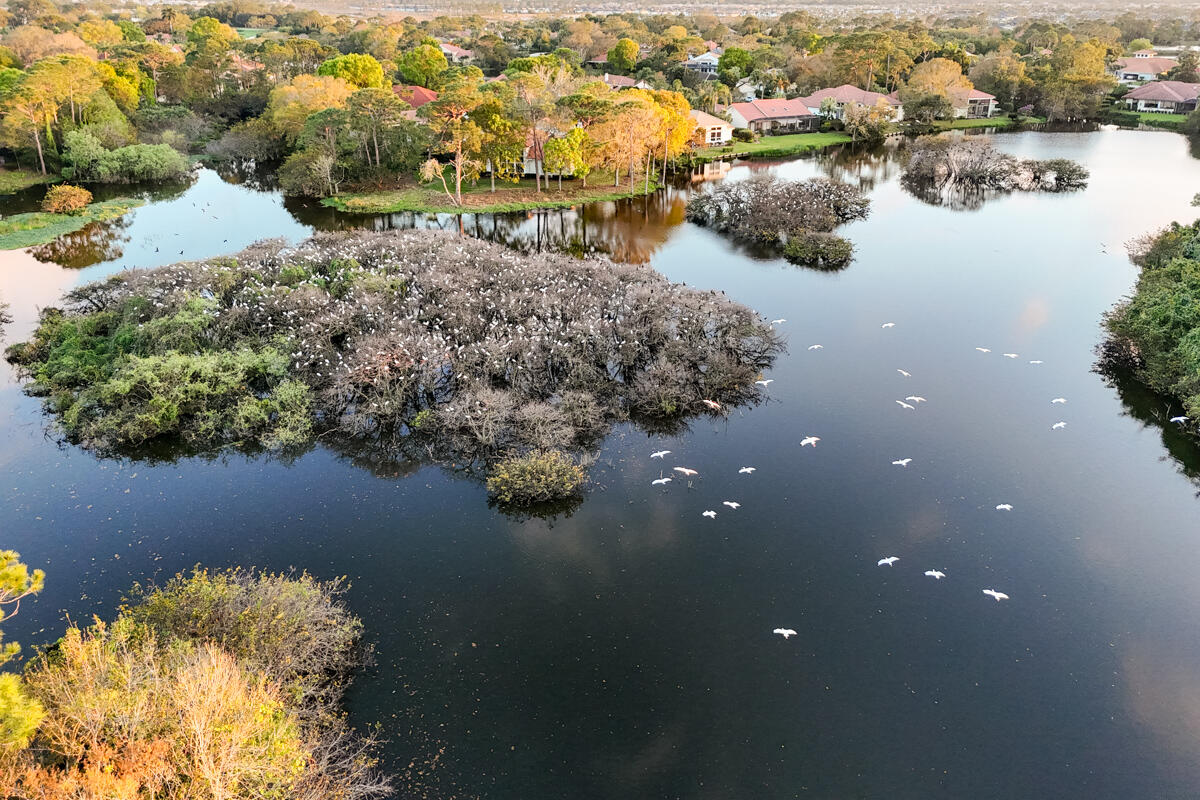 13312 Northwest Maplewood Road Palm City, FL 34990 - Photo 56 of 69 Rookery