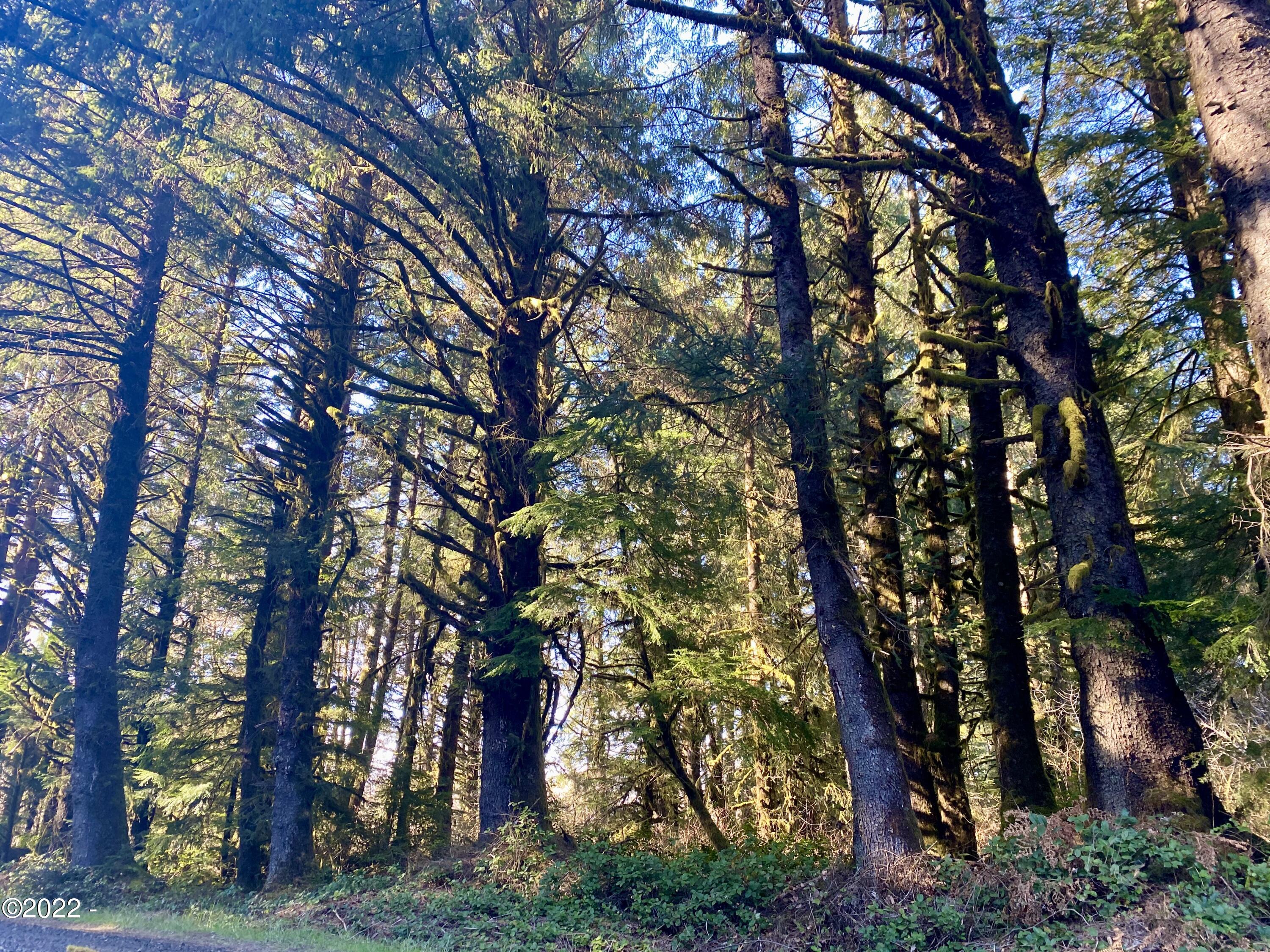 Tl700-900 Huhtala Road Siletz, OR 97380 - Photo 5 of 13 AC Land