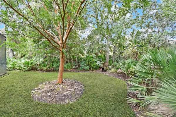 a view of a backyard with large trees
