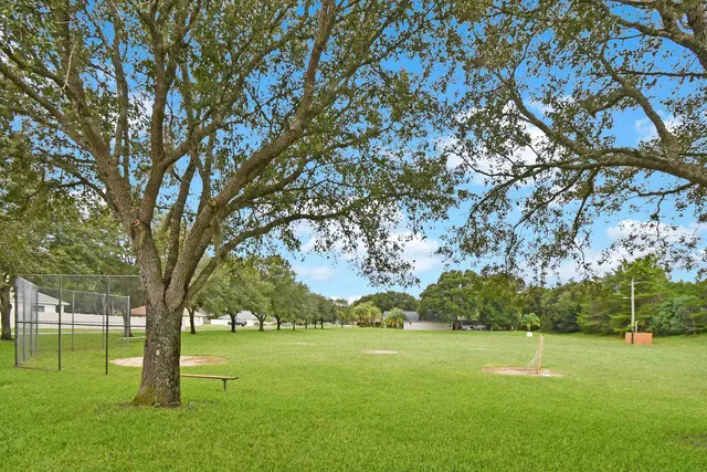 a view of an outdoor space with a tree