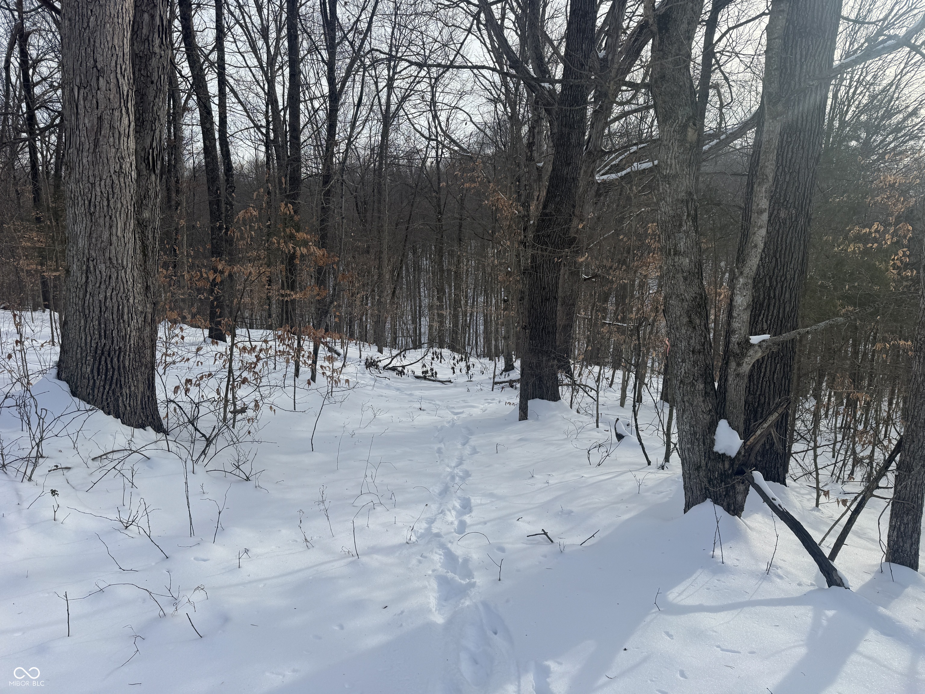 0 Southwest Side Morgan Lane Pekin, IN 47165 - Photo 11 of 11