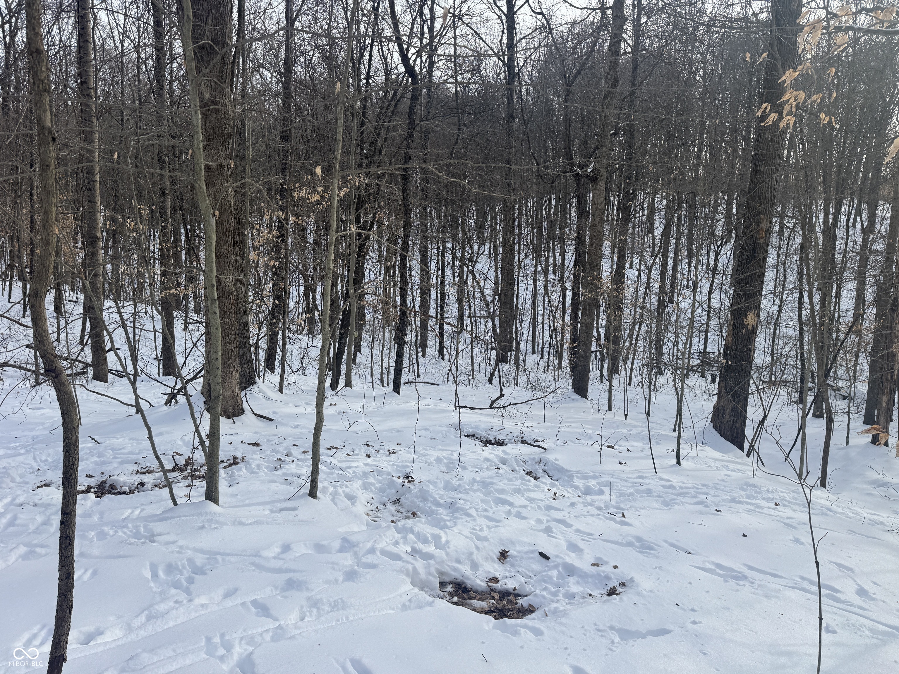 0 Southwest Side Morgan Lane Pekin, IN 47165 - Photo 2 of 11