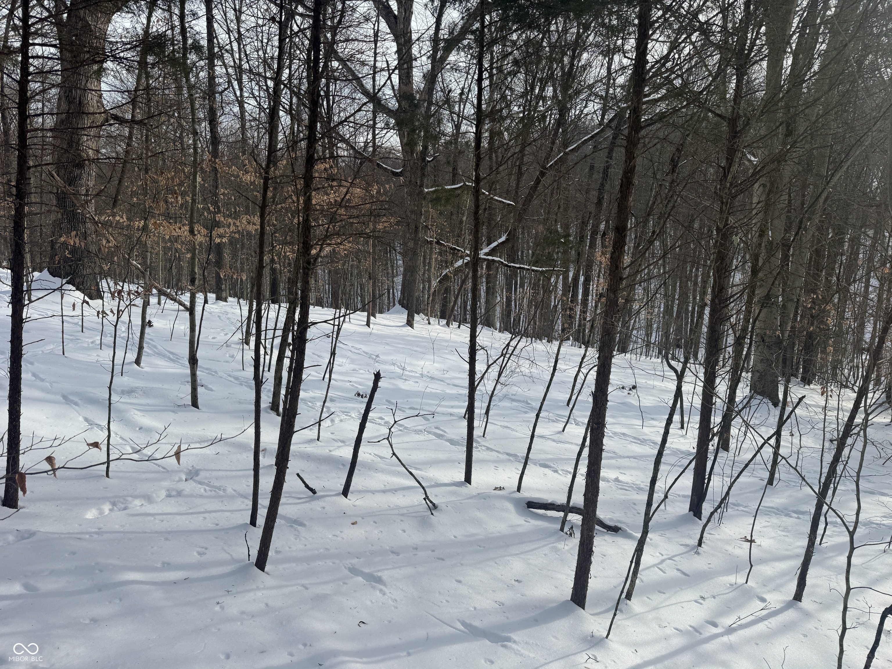 0 Southwest Side Morgan Lane Pekin, IN 47165 - Photo 4 of 11