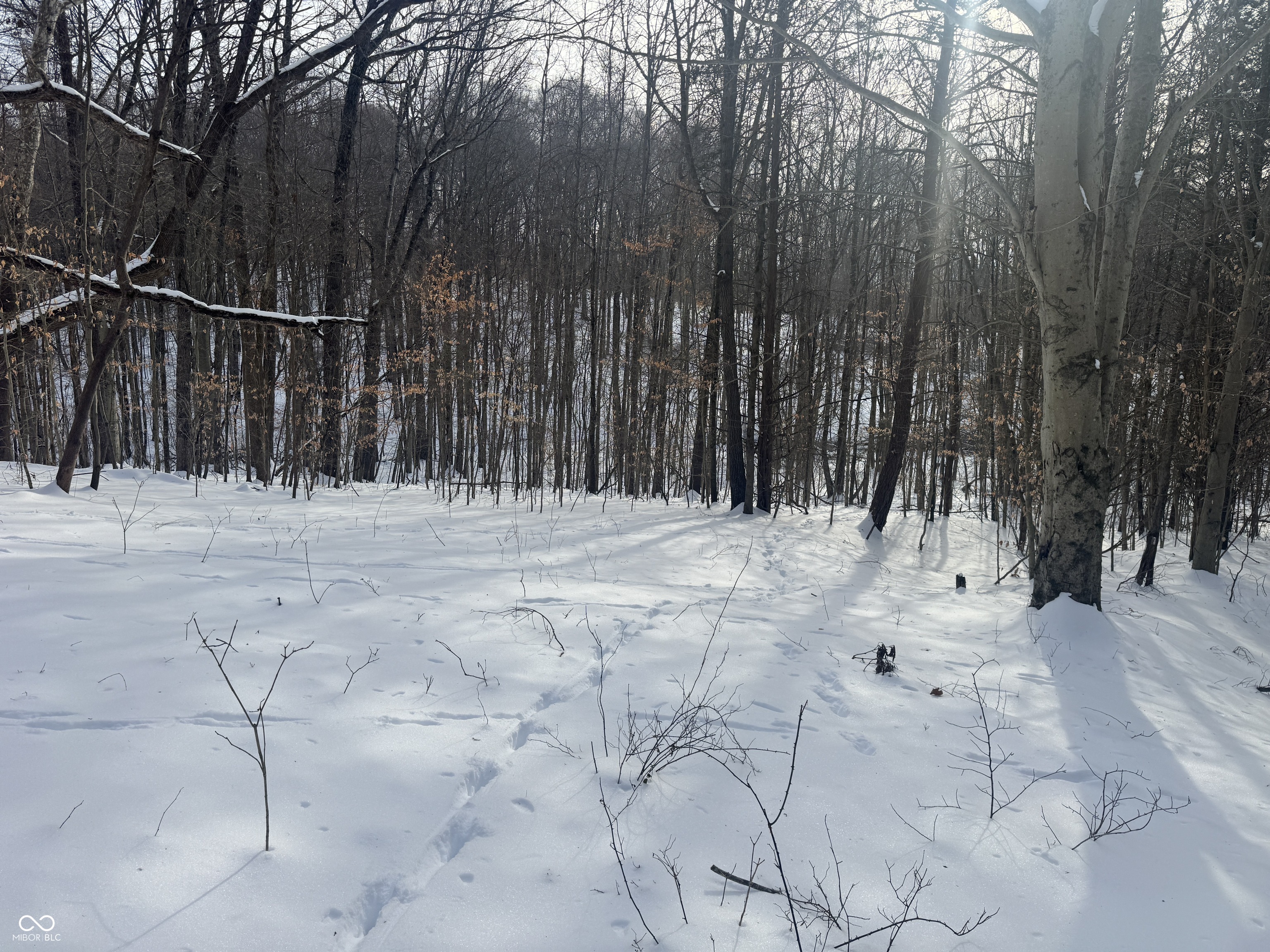 0 Southwest Side Morgan Lane Pekin, IN 47165 - Photo 6 of 11