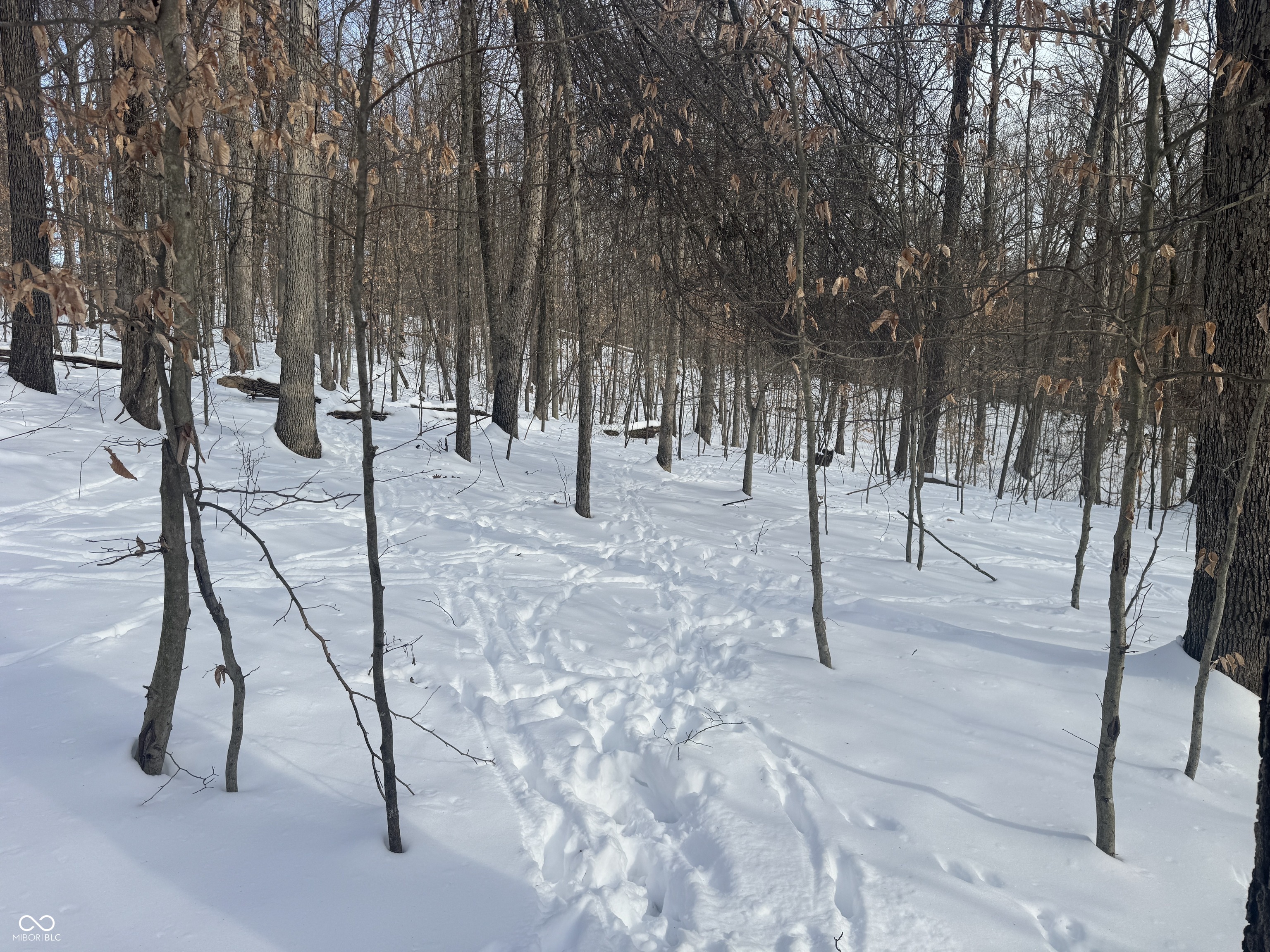 0 Southwest Side Morgan Lane Pekin, IN 47165 - Photo 7 of 11