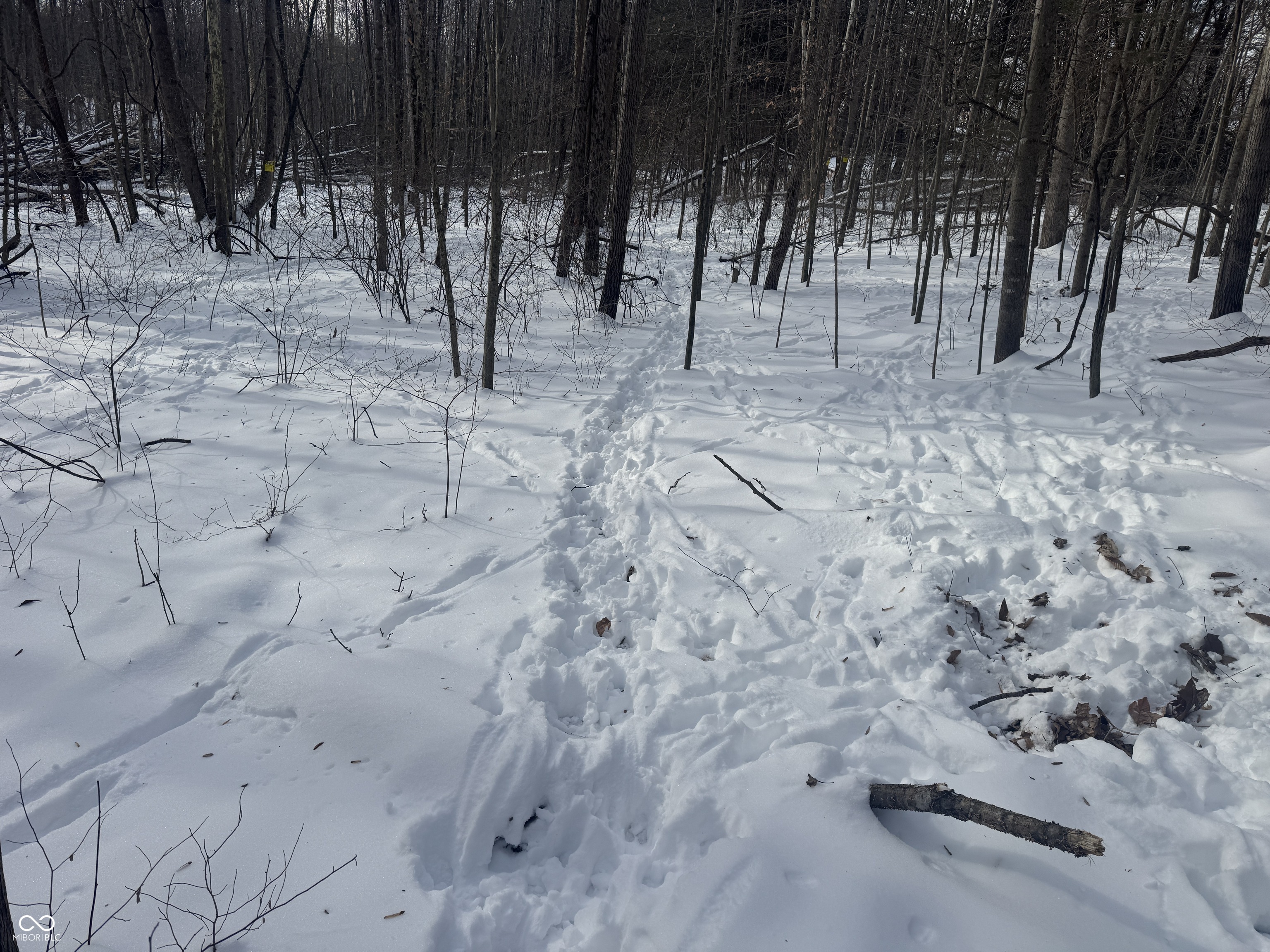 0 Southwest Side Morgan Lane Pekin, IN 47165 - Photo 8 of 11