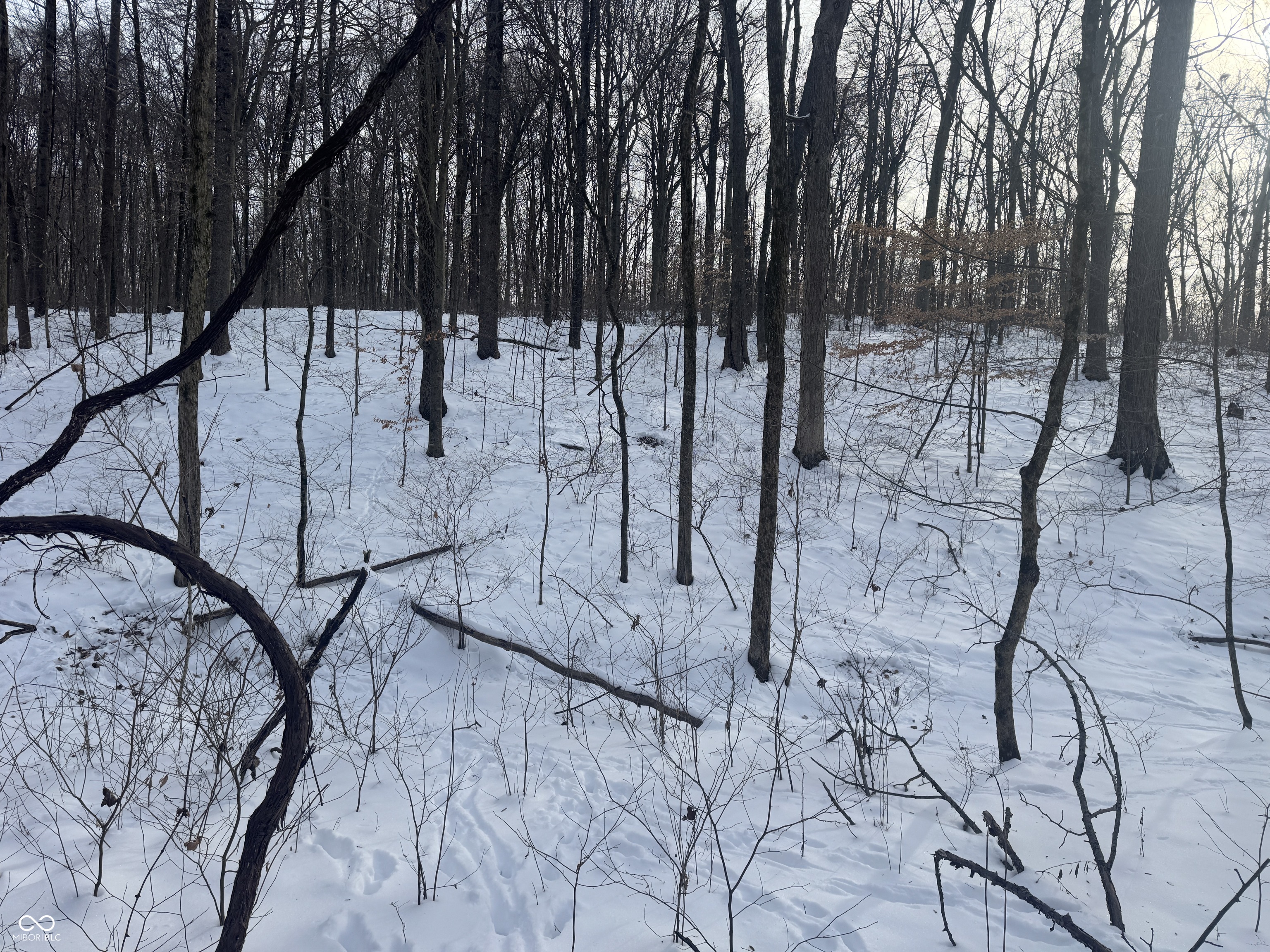 0 Southwest Side Morgan Lane Pekin, IN 47165 - Photo 9 of 11