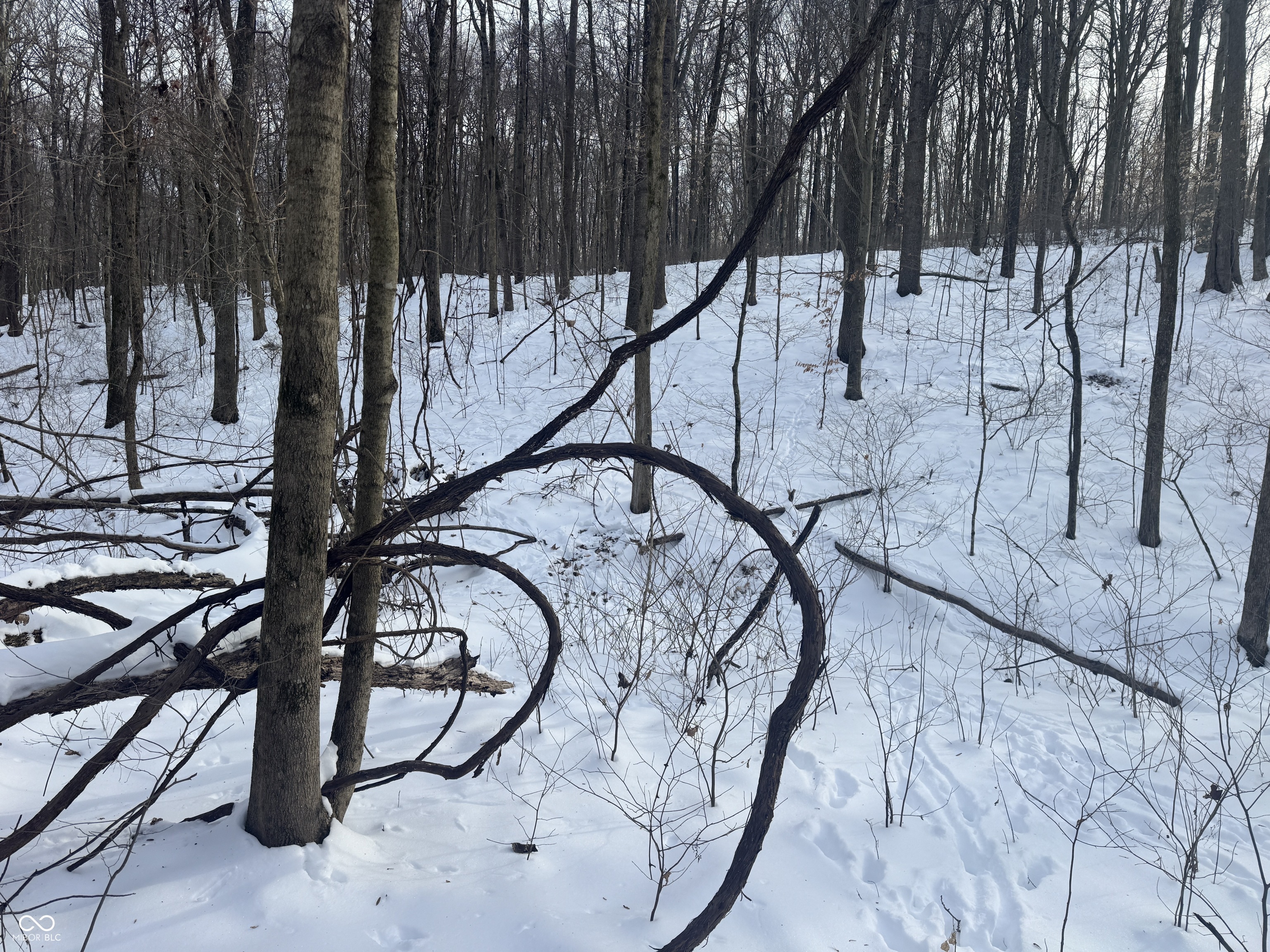 0 Southwest Side Morgan Lane Pekin, IN 47165 - Photo 10 of 11