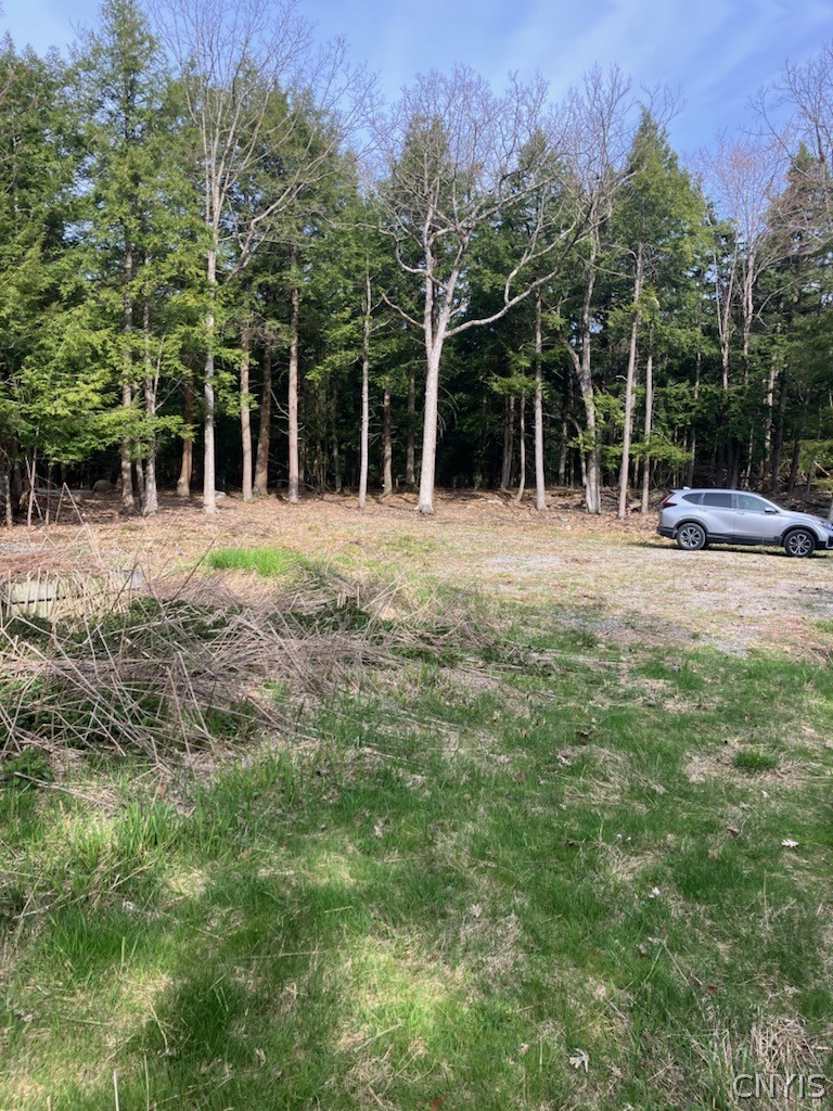 29809 Sears Road Theresa, NY 13679 - Photo 13 of 13 Gallery Image 13