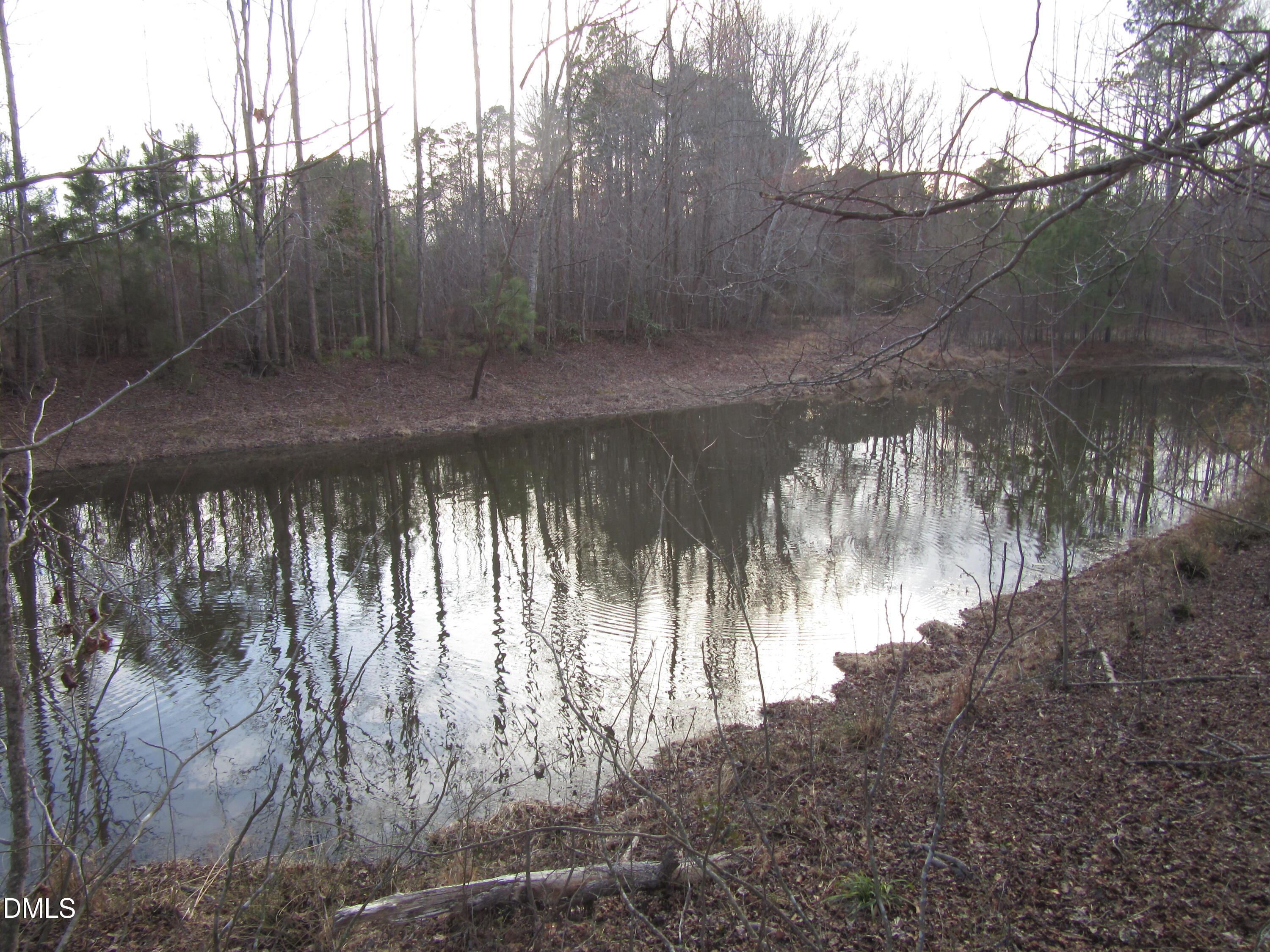 5.86-acres Pearces Road Zebulon, NC 27597 - Photo 3 of 9 IMG_1668