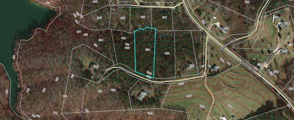 Outline of the property from Oconee County records