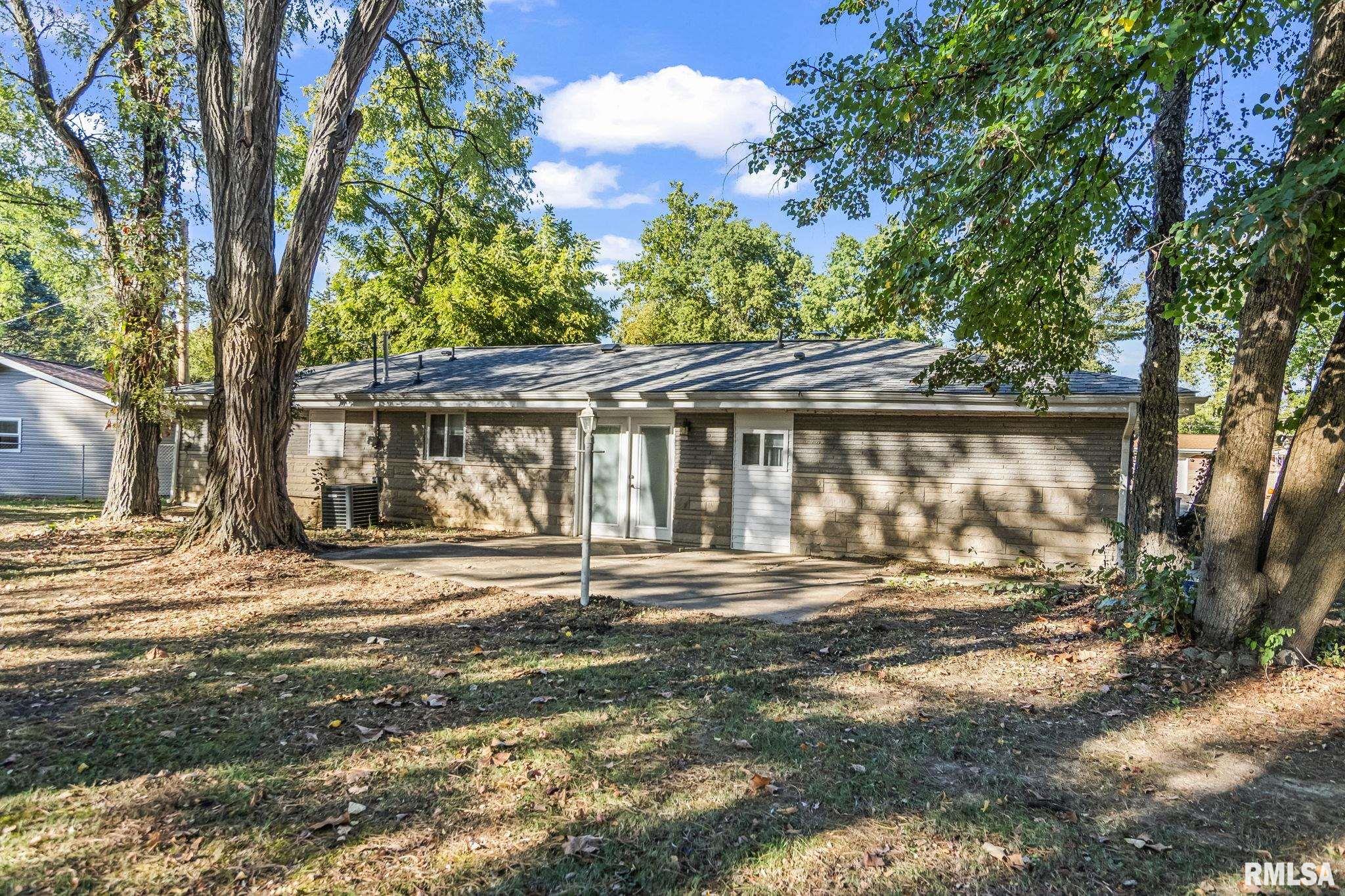 1 Birch Drive Chatham, IL 62629 - Photo 26 of 28