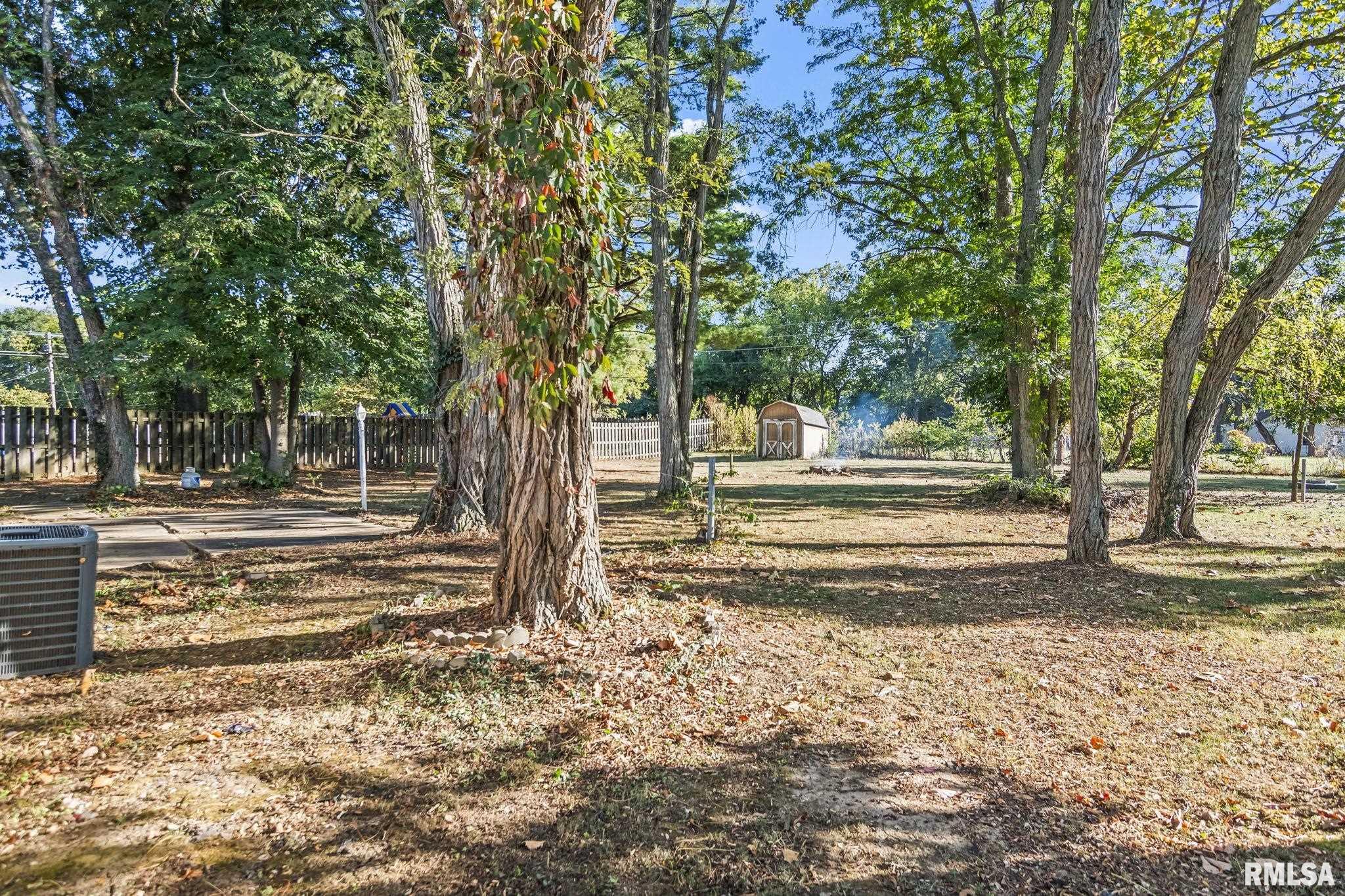 1 Birch Drive Chatham, IL 62629 - Photo 27 of 28