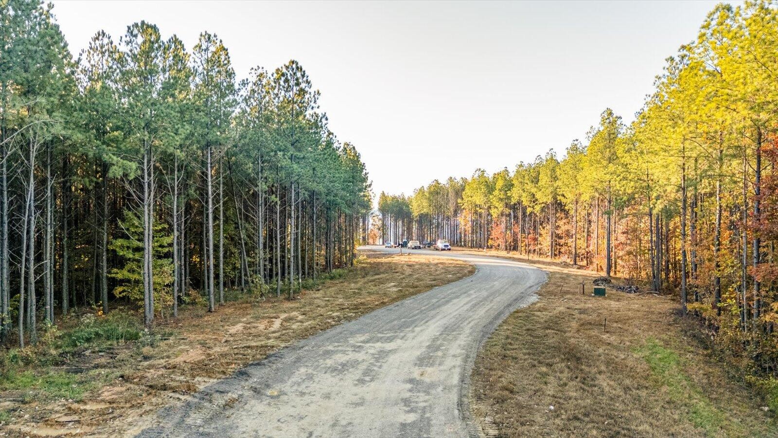 0 Legacy Drive Guild, TN 37340 - Photo 2 of 27 a view of a yard with plants and trees