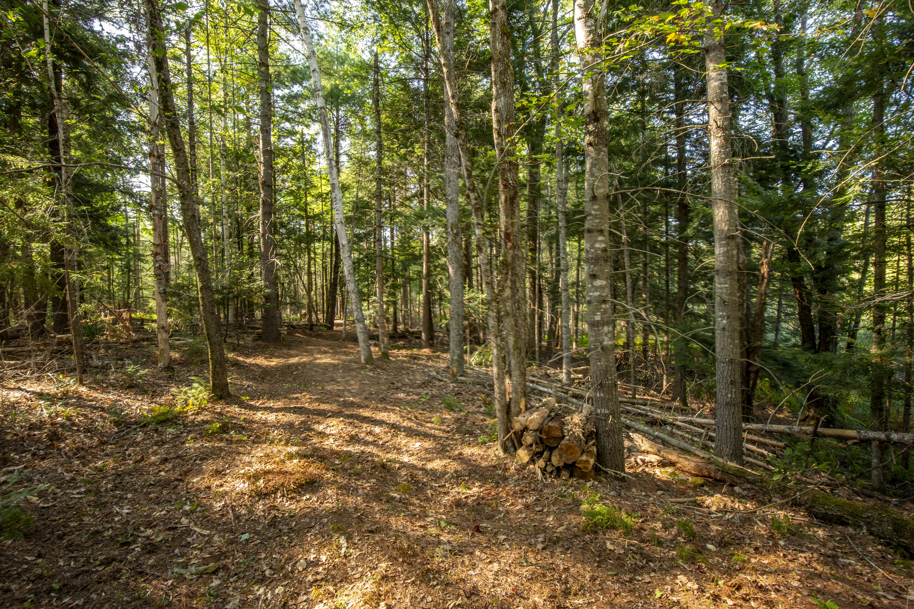 284 Lawry Road Searsmont, ME 04973 - Photo 44 of 57 87-284LawryRd-Searsmont-KS