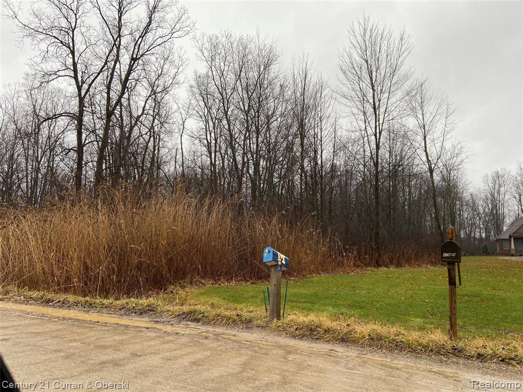 0 Hanford Road Canton, MI 48187 - Photo 2 of 3