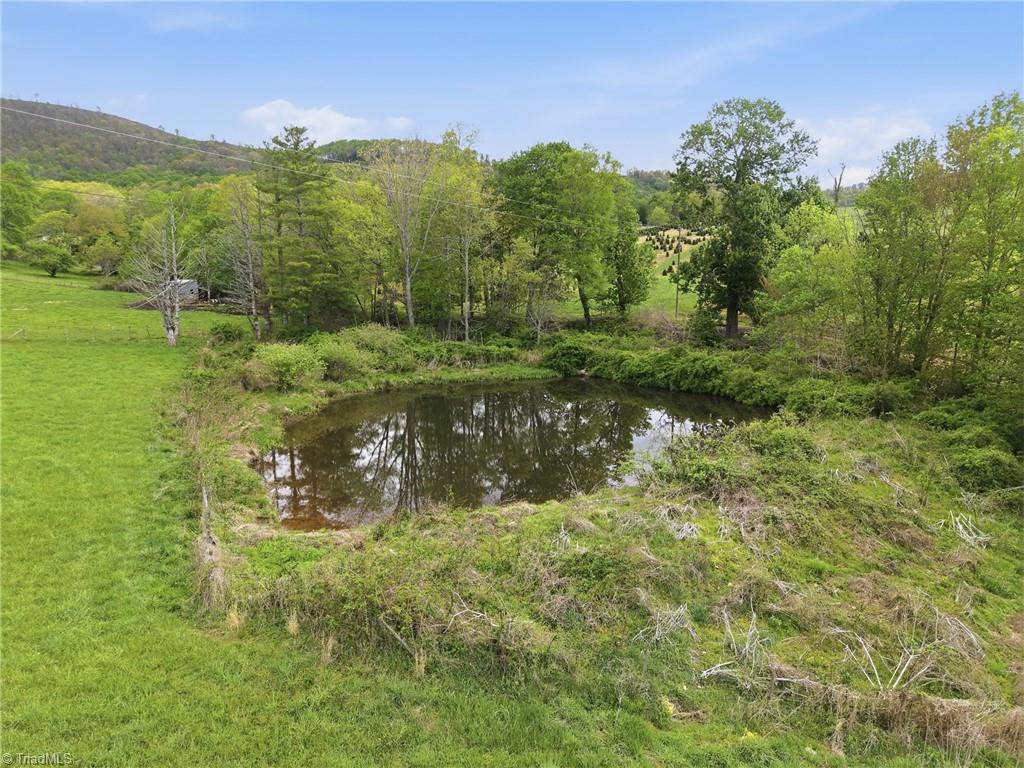 4793 Cheek Mountain Road Laurel Springs, NC 28644 - Photo 17 of 42